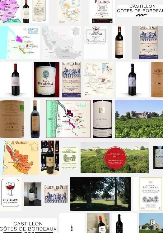 Côtes de Bordeaux Castillon(aoc-aop) autour de la commune de Margaux Côtes de Bordeaux Castillon(aoc-aop)