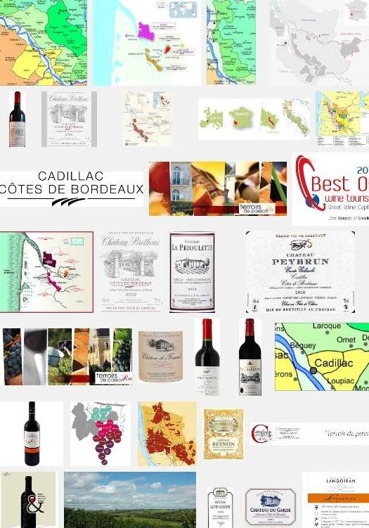 Côtes de Bordeaux Cadillac(aoc-aop) autour de la commune de Margaux Côtes de Bordeaux Cadillac(aoc-aop)